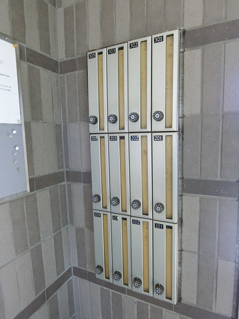 ��ʌ�����s���V���̃}���V�����̂��̑�