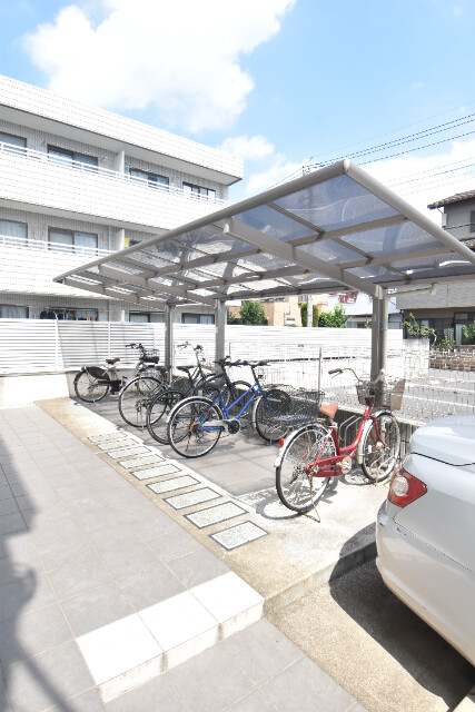 ��ʌ��������܎s�������J�S���ڂ̃}���V�����̂��̑�