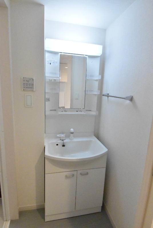 ��ʌ�����s�厚���̃}���V�����̐��ʏ�