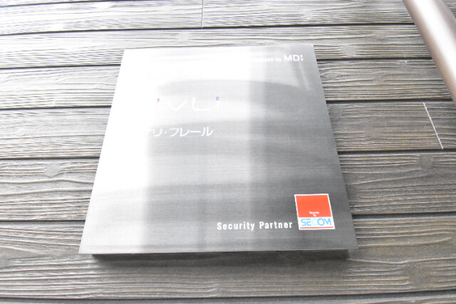 ��ʌ�����s�厚���̃}���V�����̎���