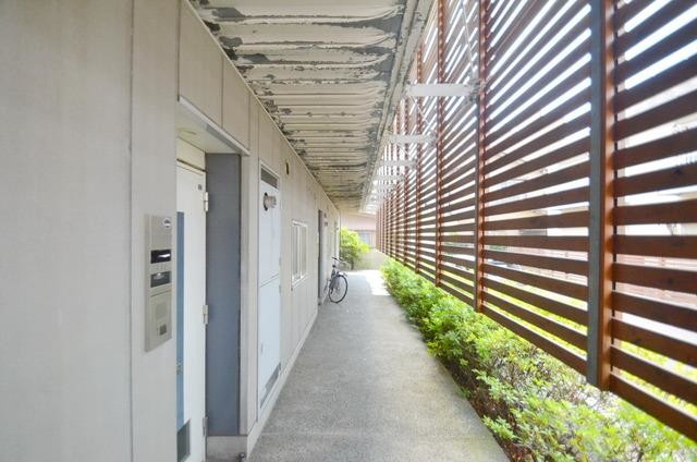 ��ʌ��������܎s�k�擌�听���P���ڂ̃}���V�����̂��̑�