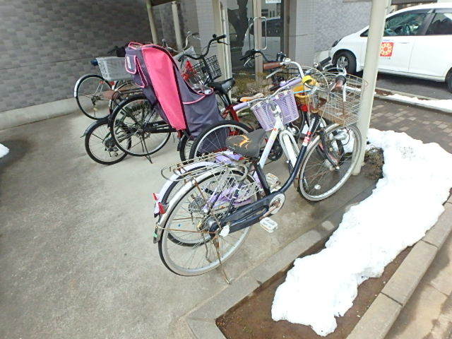 ��ʌ��������܎s�k��{�����̃}���V�����̂��̑�