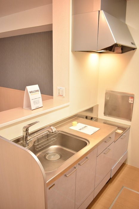 ��ʌ��������܎s�k��{�����̃A�p�[�g�̃L�b�`��