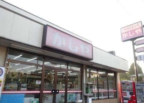 ��ʌ�����s�厚���s���̃A�p�[�g�̎���