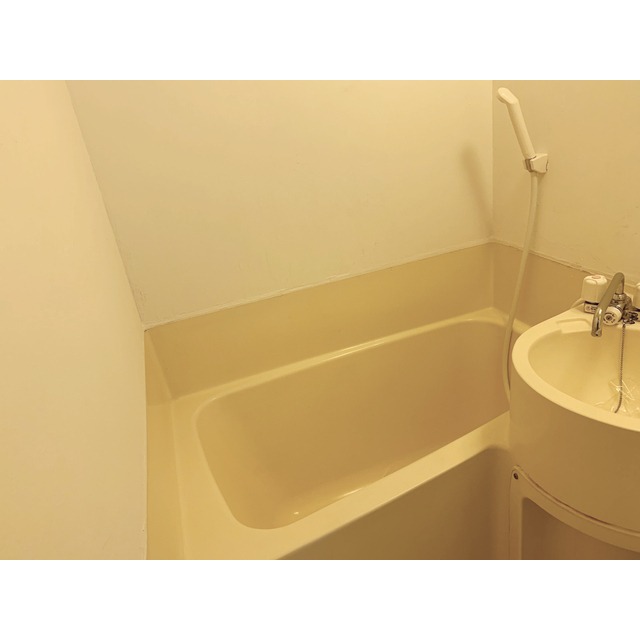 ��ʌ��������܎s��΋���K���̃A�p�[�g�̃o�X