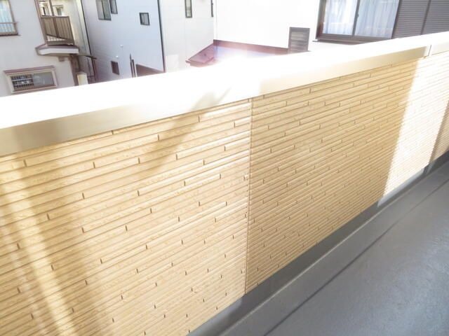 ��ʌ��z�J�s�J�����Q���ڂ̈�ˌ��Ẵo���R�j�[