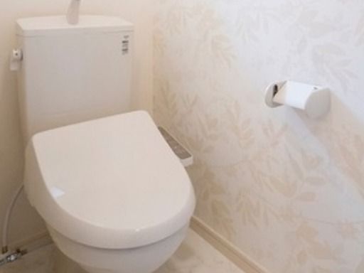 ��ʌ��������܎s���搼��{�P���ڂ̃e���X�n�E�X�̃g�C��