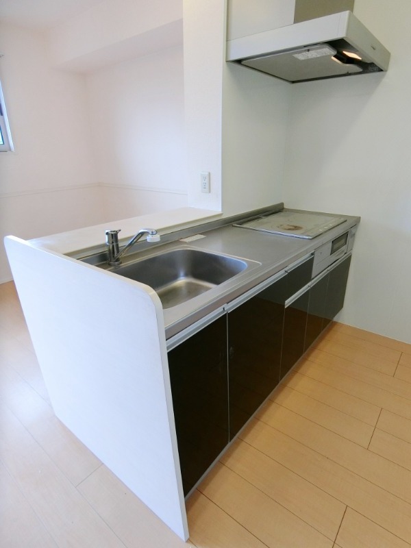 ��ʌ�����s����P���ڂ̃A�p�[�g�̃L�b�`��