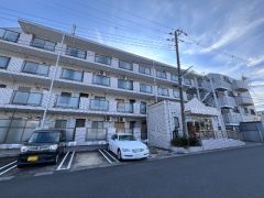 ��ʌ��������܎s������厚���n��2-10-1�̃}���V�����̌����O��