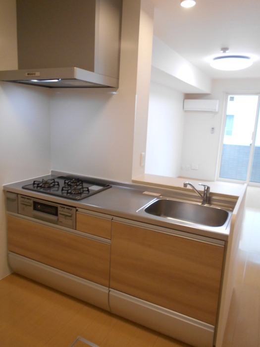 ��ʌ��z�J�s�ԎR���R���ڂ̃A�p�[�g�̃L�b�`��