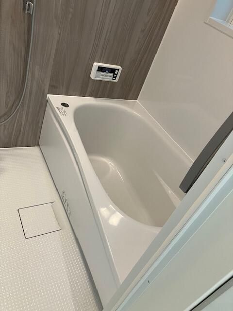 ��ʌ��z�J�s�J�����Q���ڂ̈�ˌ��Ẵo�X