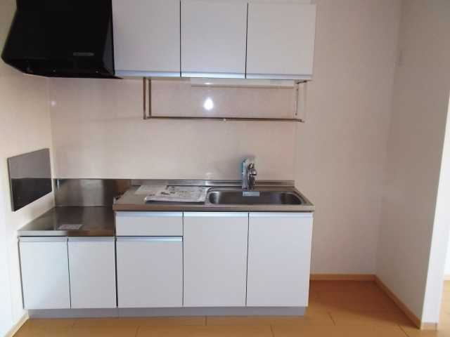 ��ʌ�����s�厚�̉Ƃ̃A�p�[�g�̃L�b�`��