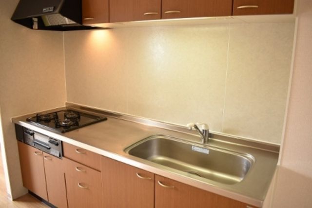 ��ʌ��������܎s������{�����T���ڂ̃A�p�[�g�̃L�b�`��