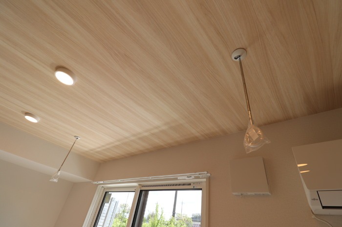 ��ʌ��z�J�s���̃A�p�[�g�̂��̑�