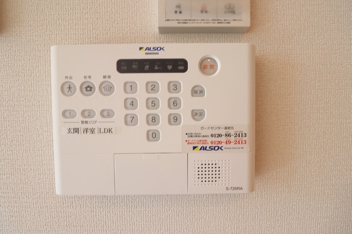 ��ʌ��z�J�s���̃A�p�[�g�̂��̑�