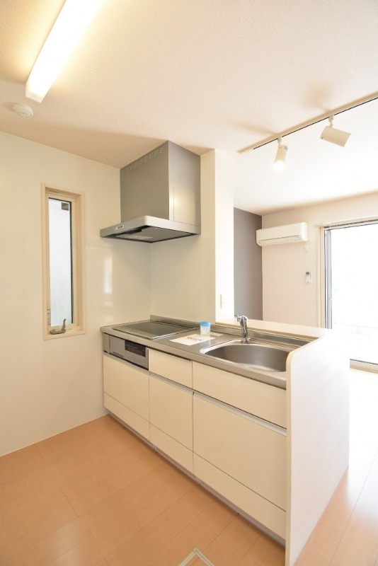 ��ʌ��������܎s����厚����{���̃A�p�[�g�̃L�b�`��