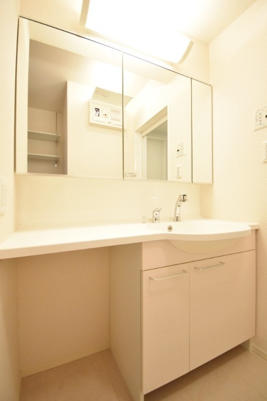 ��ʌ��������܎s����厚����{���̃A�p�[�g�̐��ʏ�