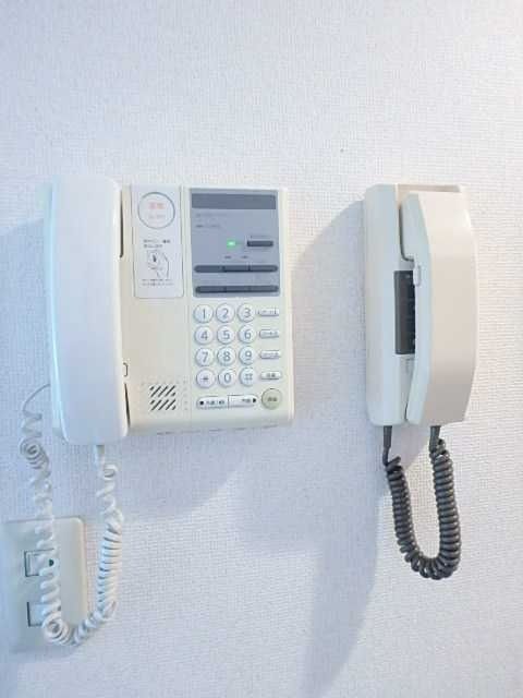 ��ʌ��������܎s�k��~�͒��̃}���V�����̂��̑�