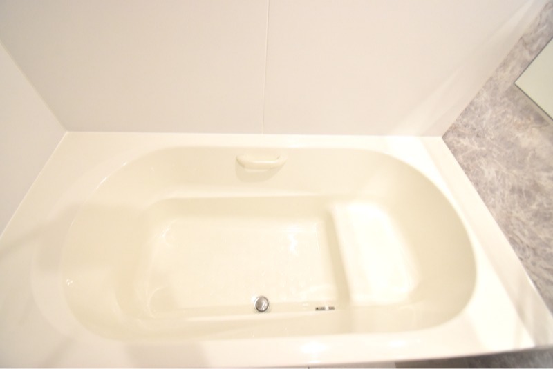 ��ʌ��z�J�s���z�J�P���ڂ̃}���V�����̃o�X