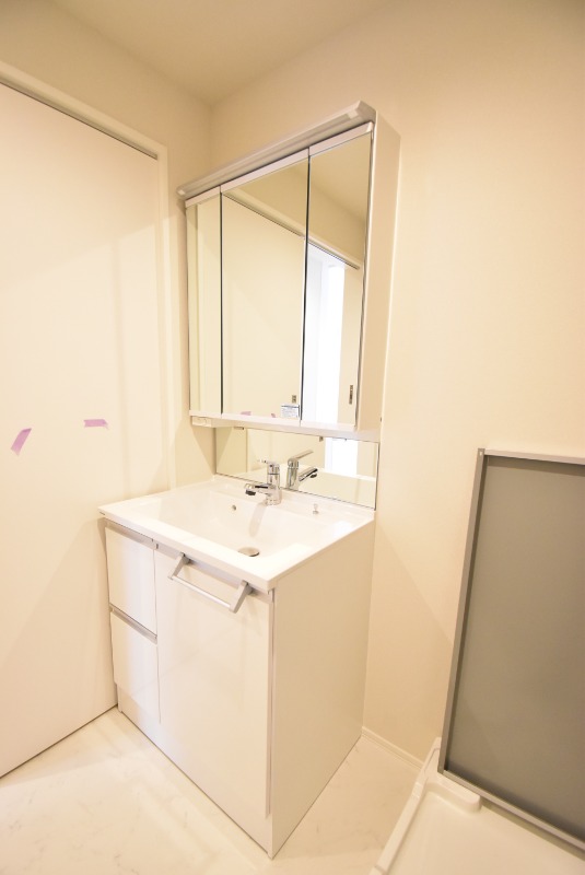 ��ʌ��z�J�s���z�J�P���ڂ̃}���V�����̐��ʏ�