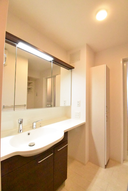 ��ʌ��z�J�s���C�N�^�E���U���ڂ̃A�p�[�g�̐��ʏ�