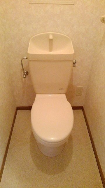 ��ʌ��������܎s��΋�{���S���ڂ̃}���V�����̃g�C��