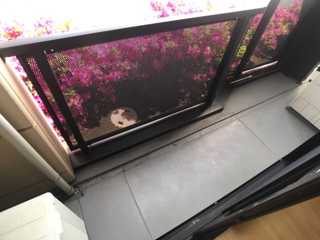 ��ʌ��������܎s�k��g�쒬�Q���ڂ̃A�p�[�g�̃o���R�j�[