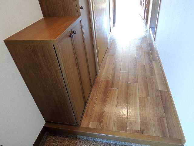 ��ʌ�����s�厚������̃}���V�����̌���