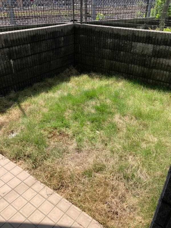 ��ʌ��������܎s�k��A�|���P���ڂ̃}���V�����̂��̑�