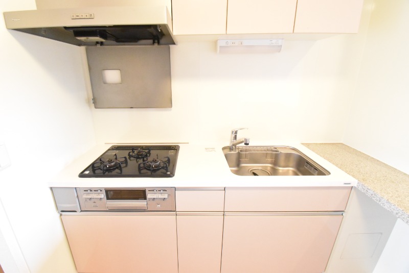 ��ʌ��������܎s�k��{�����̃A�p�[�g�̃L�b�`��