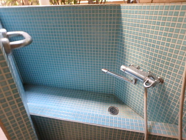 ��ʌ��������܎s�������˂T���ڂ̃}���V�����̂��̑�