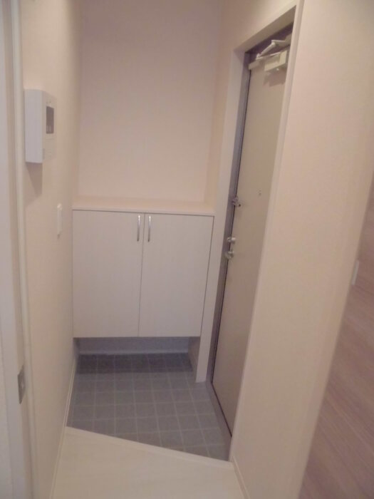 ��ʌ��z�J�s�o�˒��̃A�p�[�g�̌���