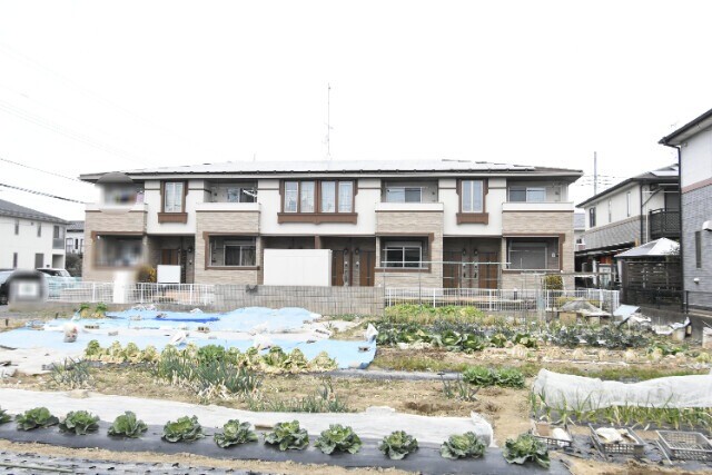 ��ʌ��@�c�s���V�h�U���ڂ̃A�p�[�g�̃G���g�����X