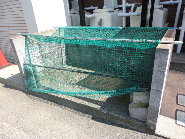 ��ʌ��������܎s��{��O���P���ڂ̃A�p�[�g�̂��̑�