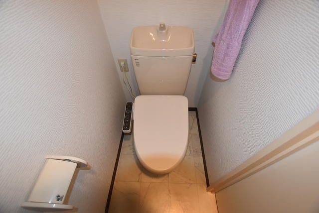 ��ʌ��z�J�s�厚��[�̃}���V�����̃g�C��