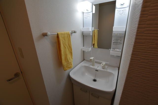 ��ʌ��z�J�s�厚��[�̃}���V�����̐��ʏ�