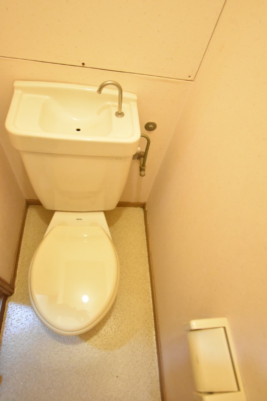 ��ʌ��������܎s����厚�_�c�̃}���V�����̃g�C��