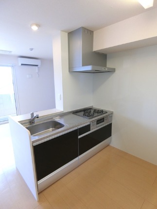 ��ʌ��k�����S�ɓޒ��厚�����̃A�p�[�g�̃L�b�`��