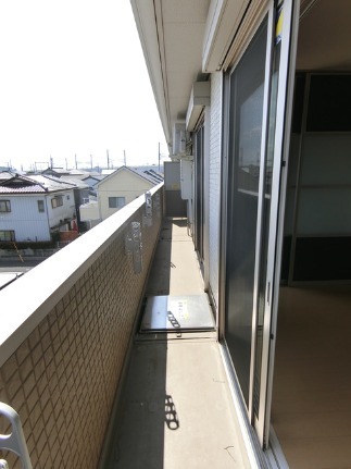 ��ʌ��k�����S�ɓޒ��厚�����̃A�p�[�g�̃o���R�j�[