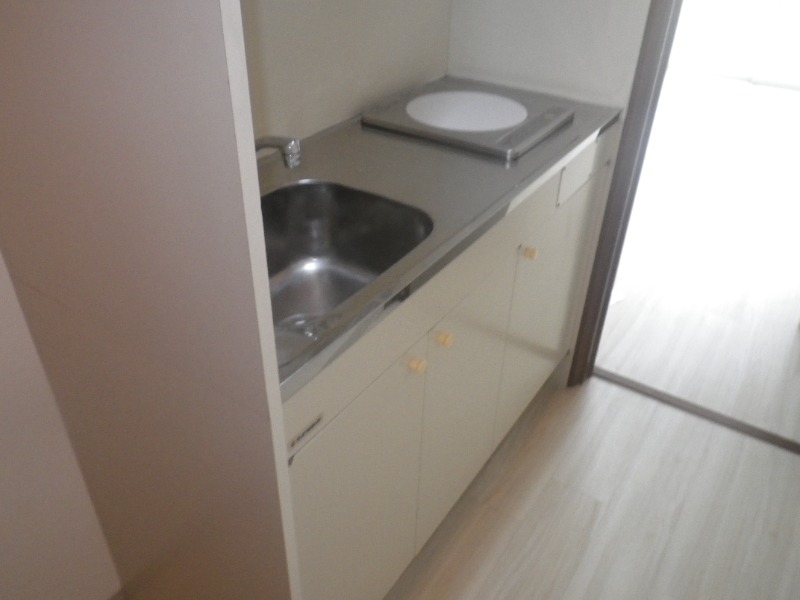 ��ʌ��������܎s����厚����{���̃A�p�[�g�̃L�b�`��