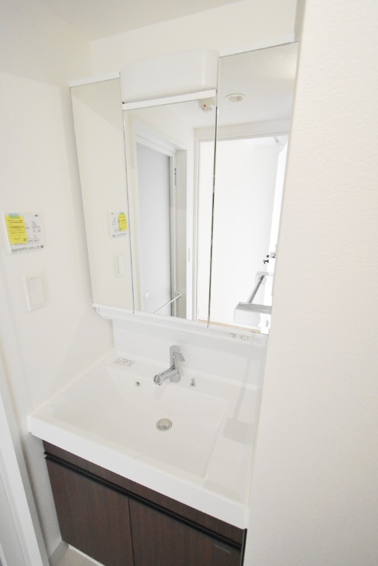 ��ʌ��z�J�s���������̃}���V�����̐��ʏ�