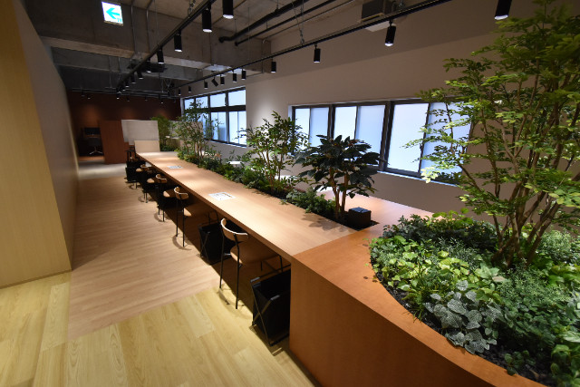 ��ʌ��z�J�s���������̃}���V�����̂��̑�