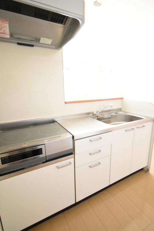 ��ʌ�����s�{���U���ڂ̃A�p�[�g�̃L�b�`��