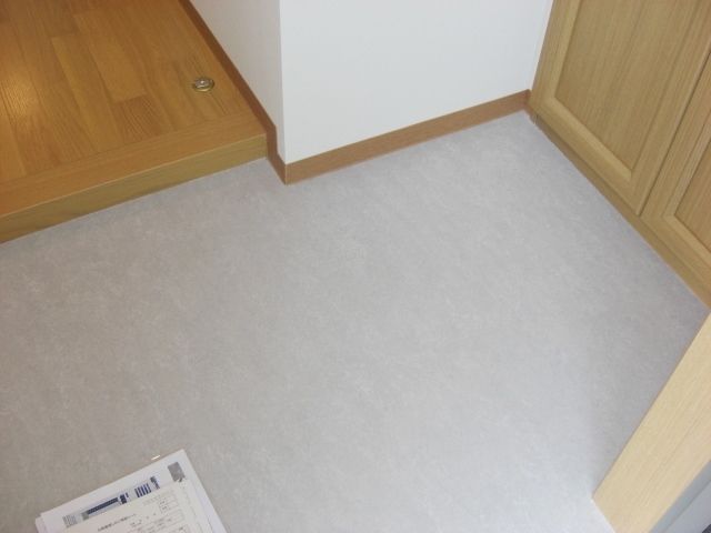 ��ʌ�����s���{���Q���ڂ̃}���V�����̌���