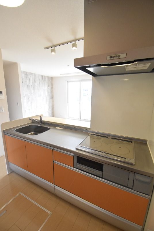 ��ʌ��������܎s��������u�Q���ڂ̃A�p�[�g�̃L�b�`��