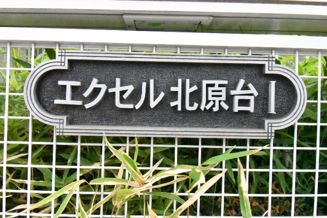 ��ʌ�����s�k����P���ڂ̃A�p�[�g�̎���