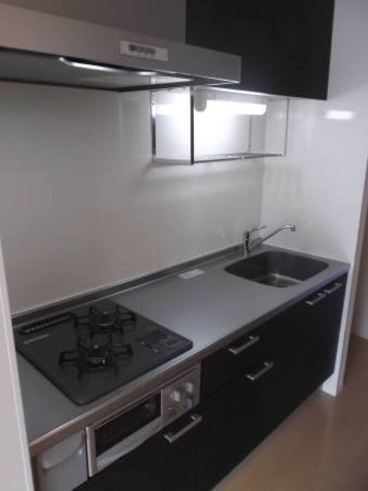 ��ʌ��z�J�s���C�N�^�E���T���ڂ̃A�p�[�g�̃L�b�`��