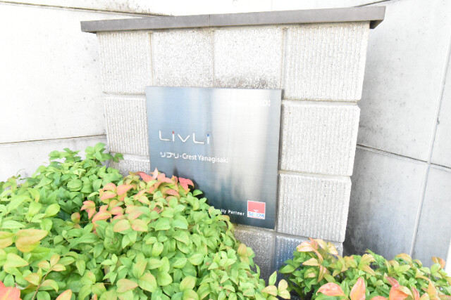 ��ʌ�����s����S���ڂ̃}���V�����̎���