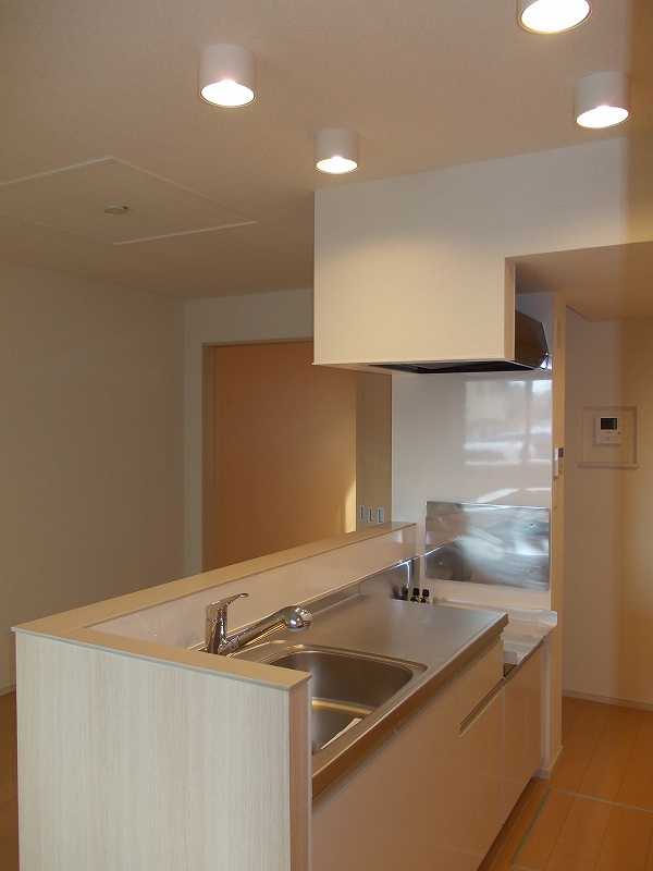 ��ʌ��z�J�s�����Q���ڂ̃A�p�[�g�̃L�b�`��