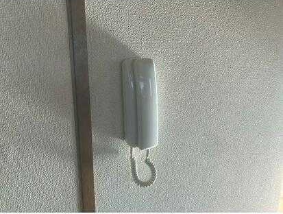 ��ʌ��������܎s�k��听���S���ڂ̃}���V�����̂��̑�